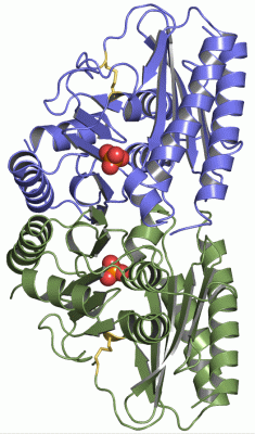 Image Asym./Biol. Unit - manually