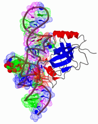 Image Biol.Unit 1 - manually