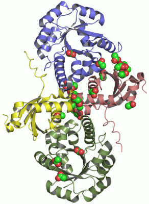 Image Asym./Biol. Unit - manually