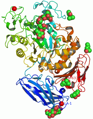 Image Asym./Biol. Unit - manually