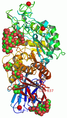 Image Asym./Biol. Unit - manually