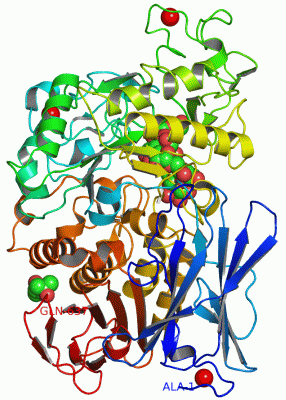 Image Asym./Biol. Unit - manually