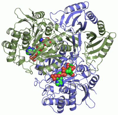 Image Asym./Biol. Unit - manually