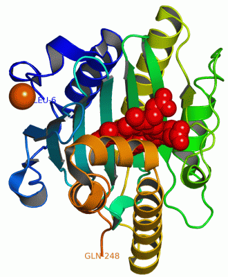 Image Asym./Biol. Unit - manually