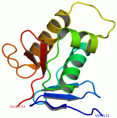 Image Asym./Biol. Unit - manually