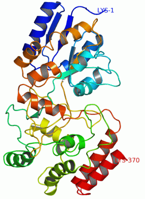 Image NMR Structure - manually