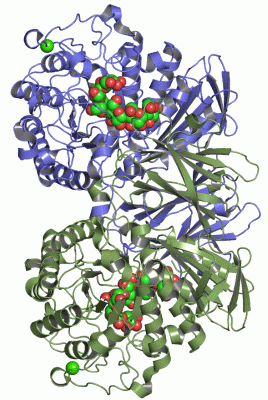 Image Asym./Biol. Unit - manually