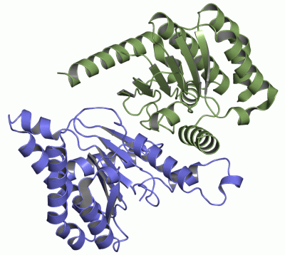 Image Asym./Biol. Unit - manually