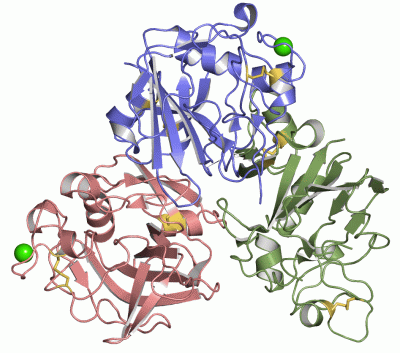 Image Asym./Biol. Unit - manually