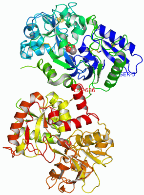 Image Asym./Biol. Unit - manually