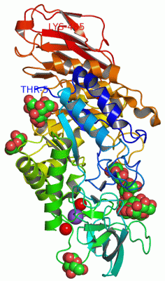 Image Asym./Biol. Unit - manually