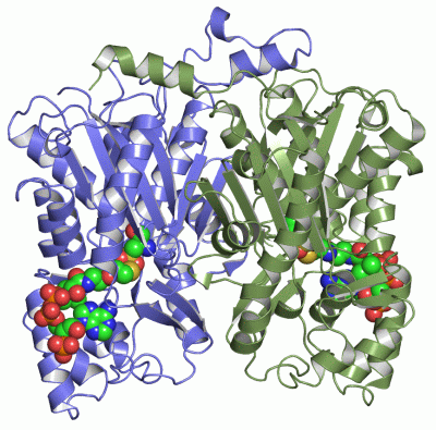 Image Asym./Biol. Unit - manually