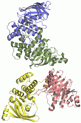 Image Asym./Biol. Unit - manually