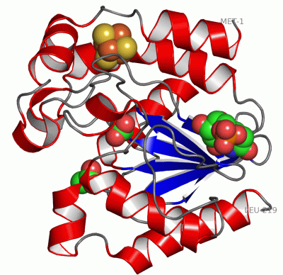 Image Asym./Biol. Unit - manually