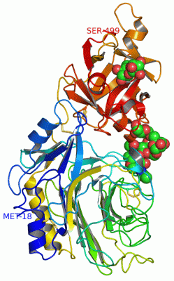 Image Asym./Biol. Unit - manually