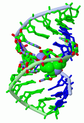 Image Asym./Biol. Unit - manually