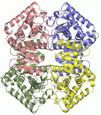 Image Asym./Biol. Unit - manually