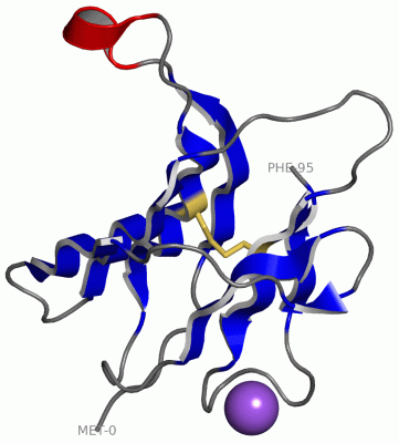 Image Asym./Biol. Unit - manually