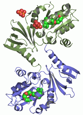 Image Asym./Biol. Unit - manually