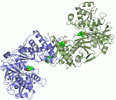 Image Asym./Biol. Unit - manually