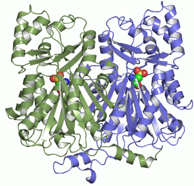 Image Asym./Biol. Unit - manually