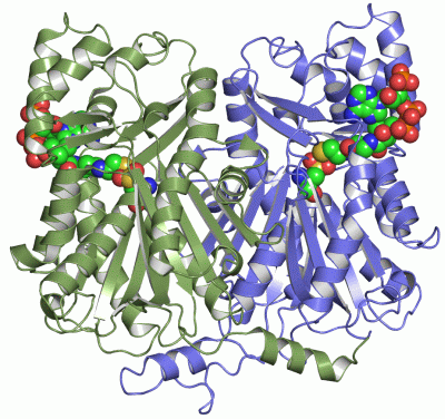 Image Asym./Biol. Unit - manually