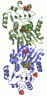 Image Asym./Biol. Unit - manually