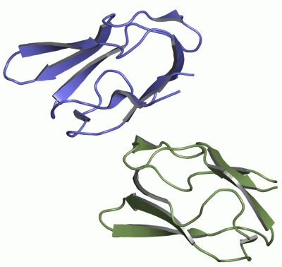 Image Asym.Unit - manually