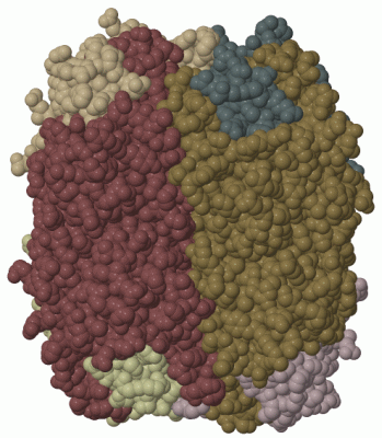 Image Biol.Unit 1 - manually