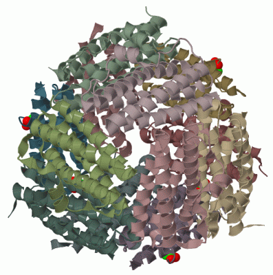 Image Biol.Unit 1 - manually