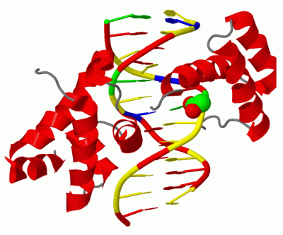 Image Biol.Unit 1 - manually