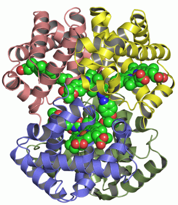 Image Asym./Biol. Unit - manually