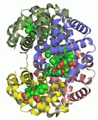 Image Asym./Biol. Unit - manually