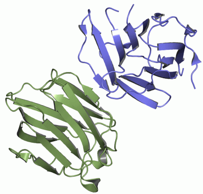 Image Asym./Biol. Unit - manually