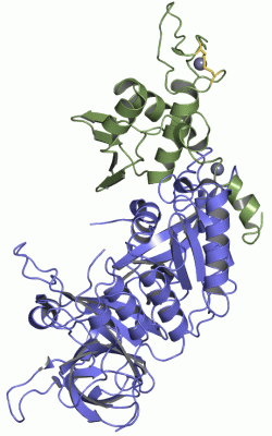 Image Asym./Biol. Unit - manually