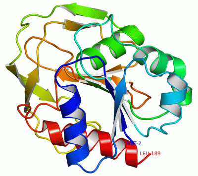 Image Asym./Biol. Unit - manually