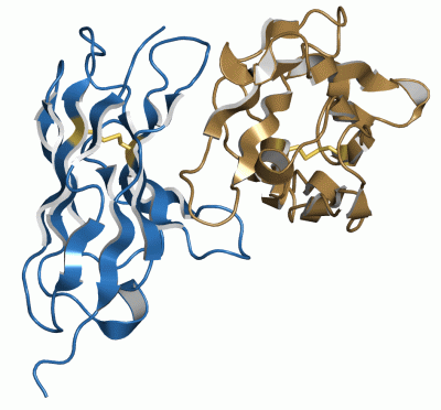 Image Asym./Biol. Unit - manually