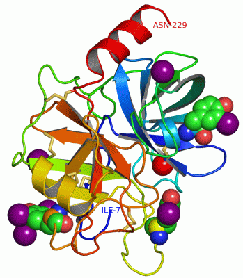 Image Asym./Biol. Unit - manually