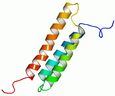 Image NMR Structure - manually