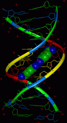 Image Asym./Biol. Unit - manually