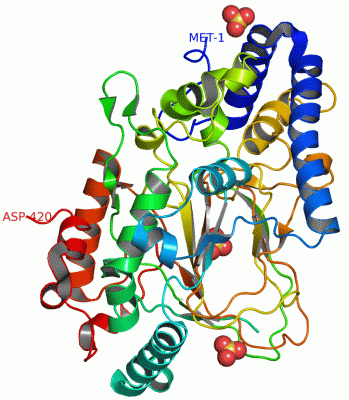 Image Asym./Biol. Unit - manually