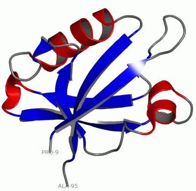 Image NMR Structure - manually