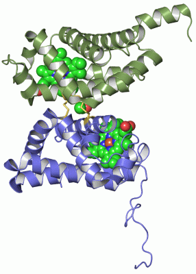 Image Asym./Biol. Unit - manually