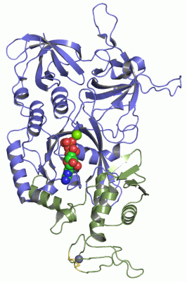 Image Asym./Biol. Unit - manually