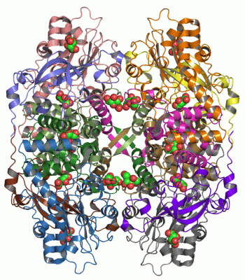 Image Asym./Biol. Unit - manually