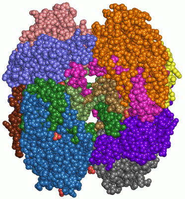 Image Asym./Biol. Unit - manually