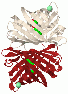 Image Biol.Unit 1 - manually