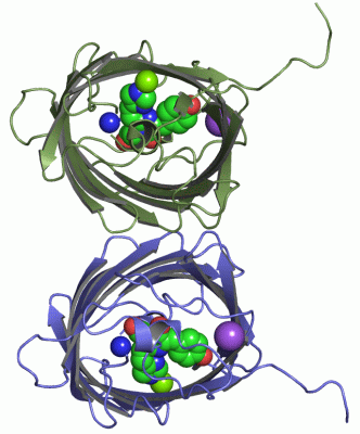 Image Asym./Biol. Unit - manually