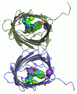 Image Asym./Biol. Unit - manually