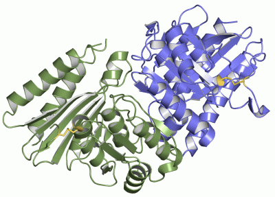 Image Asym./Biol. Unit - manually